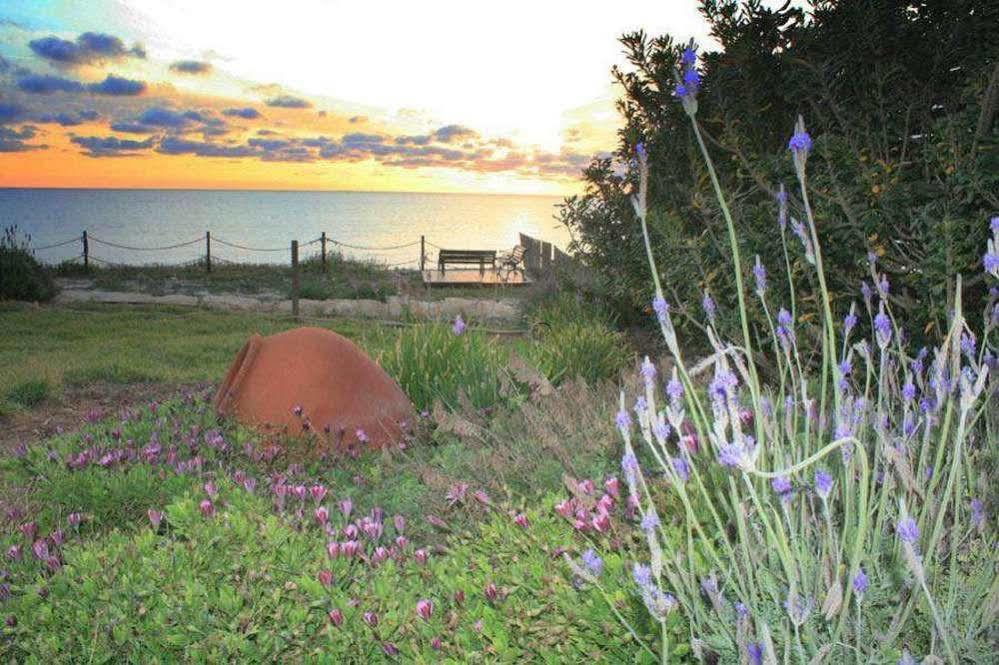 Blue Coral Beach Villas Paphos Kültér fotó